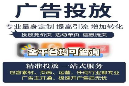 大型SEM服务公司案例分析
